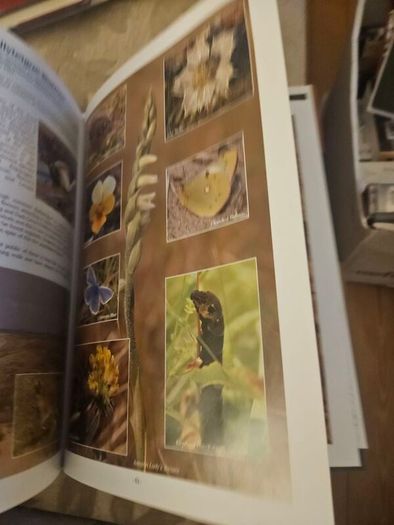 Wexford's Wild Heritage. By Alan Maguire- Christopher J. Wilson- Don Conroy. First Edition Large Volume Hardback With Dustjacket In Good Condition.  See Photos For Same.