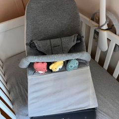 BabyBjorn Baby Bouncer