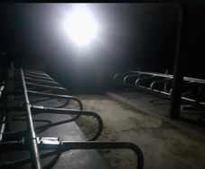 Solar Lighting