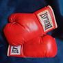 Autographed Kevin McBride Signed Everlast Boxing Gloves (Pair) Image 2