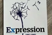 Expression(Guide to leaving cert English paper 1)