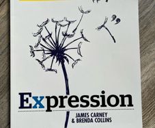 Expression(Guide to leaving cert English paper 1)