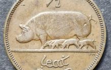 Ireland 1933 Half Penny coin