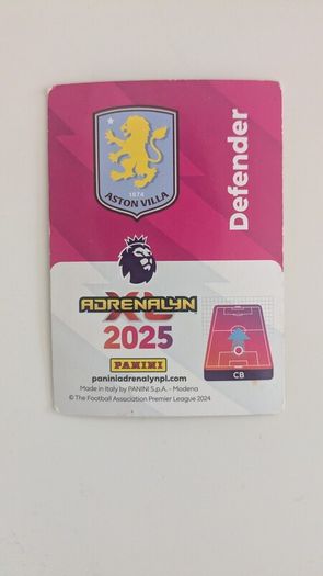 Tyrone Mings Football card