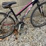 bike Image 2