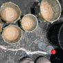 plant pot Image 7