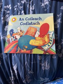 Irish language children's book