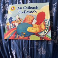 Irish language children's book