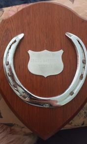 (Horse racing)Grand national winner shoe