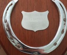 (Horse racing)Grand national winner shoe