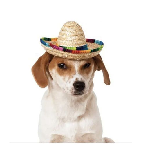 Halloween Costume