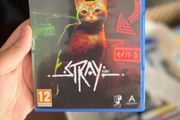 Stray PS5