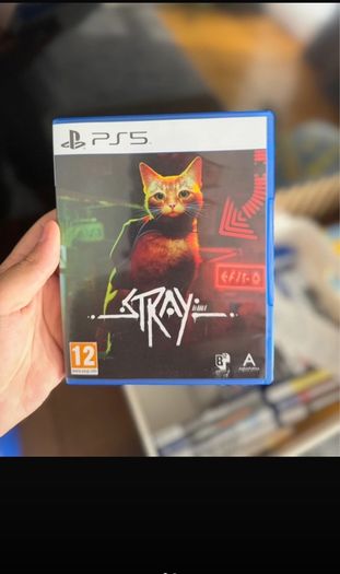 Stray PS5