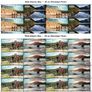 2016 Ireland Wild Atlantic Way Commemorative Stamp Sheetlet Plate 1A1A1A1A Mint Never Hinged (MNH) Image 2