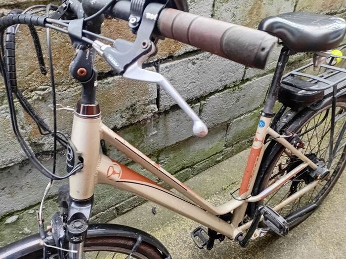 adults bike
