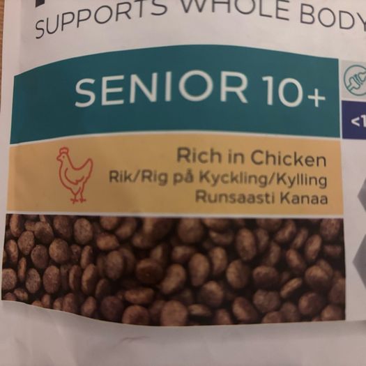 dog food