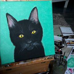 Cat Portraits