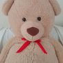Very large Teddy Bear Image 2