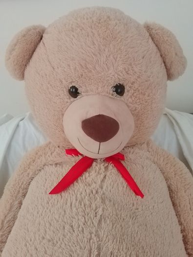 Very large Teddy Bear