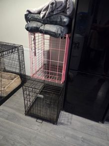 Dog cage