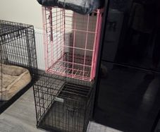 Dog cage