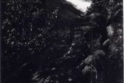 Franz Josef Glacier , Westland , New Zealand Postcard