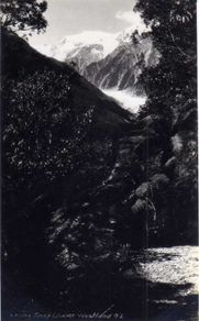 Franz Josef Glacier , Westland , New Zealand Postcard