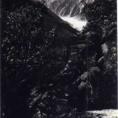 Franz Josef Glacier , Westland , New Zealand Postcard