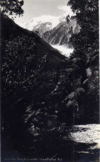 Franz Josef Glacier , Westland , New Zealand Postcard