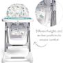 Adjustable Highchair, Reclines, Foldable with Removable Tray, Happy Planet Image 7