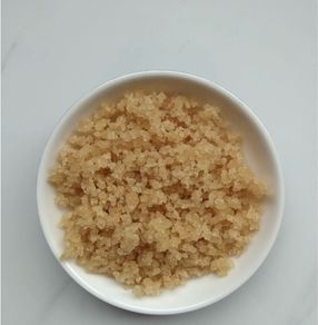 Water Kefir Grains
