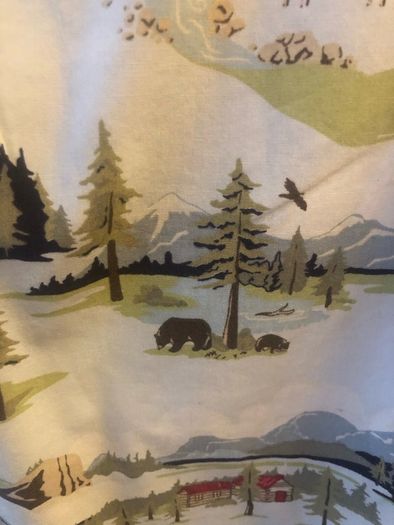 Gymboree shirt (age 2)
