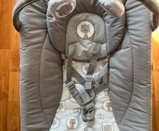 Baby Bouncer