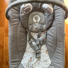 Baby Bouncer