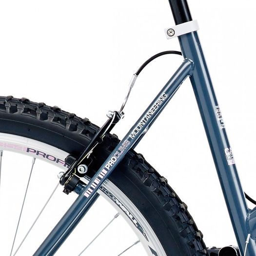 17" Coyote Aspen Ladies FS, 21 Speed, Grey/White