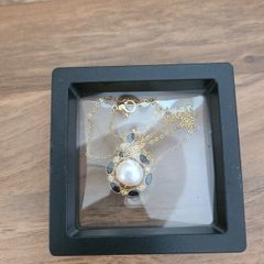 Gold Plated Chain and Pendant