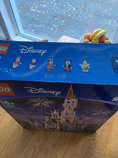 Disney Castle