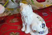 Royal Tara Cat
