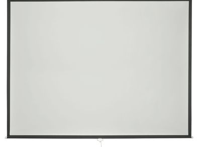 100" Manual Projector Screen