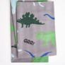 Dinosaur Throw Image 2
