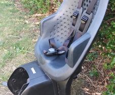 Thule Yepp 2 Maxi rack mounted Childseat