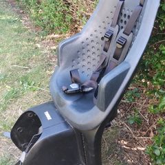 Thule Yepp 2 Maxi rack mounted Childseat