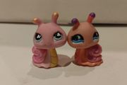 Littlest Pet Shop Snail 796 823 Rare