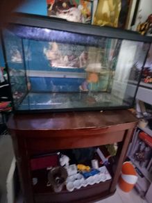 Fish Tank and Stand