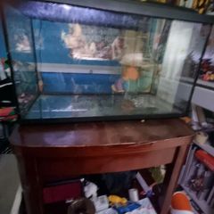 Fish Tank and Stand