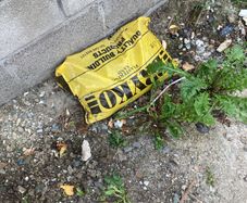 Plastering Sand
