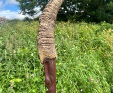 Hand crafted Irish walking sticks and staffs