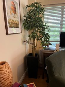 Large Artificial Ficus Tree