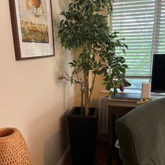 Large Artificial Ficus Tree