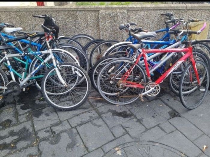bikes